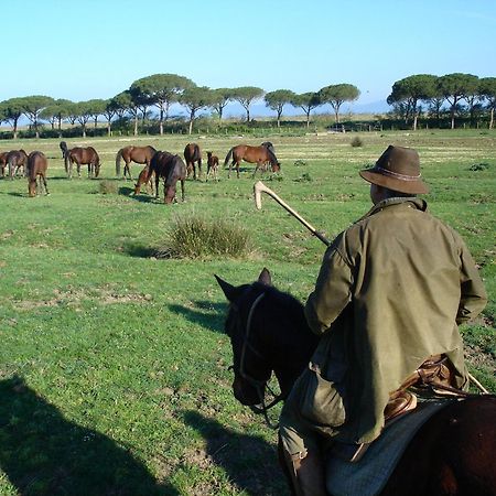 Agriturismo Biologico Sant'Egle San Quirico  Eksteriør bilde