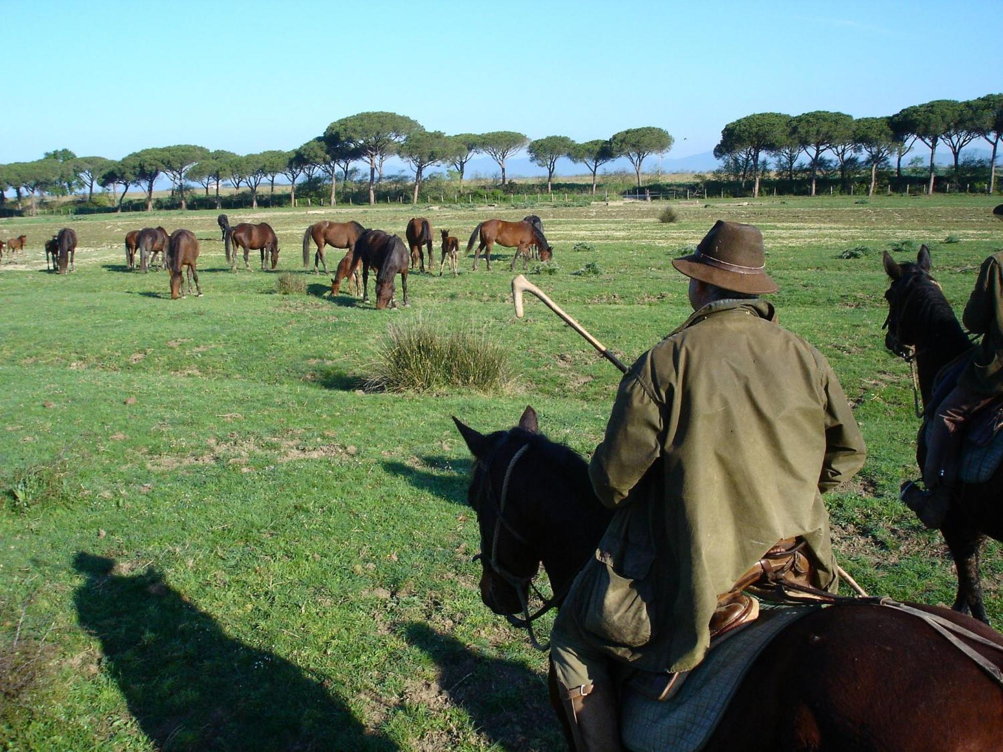 Agriturismo Biologico Sant'Egle San Quirico  Eksteriør bilde