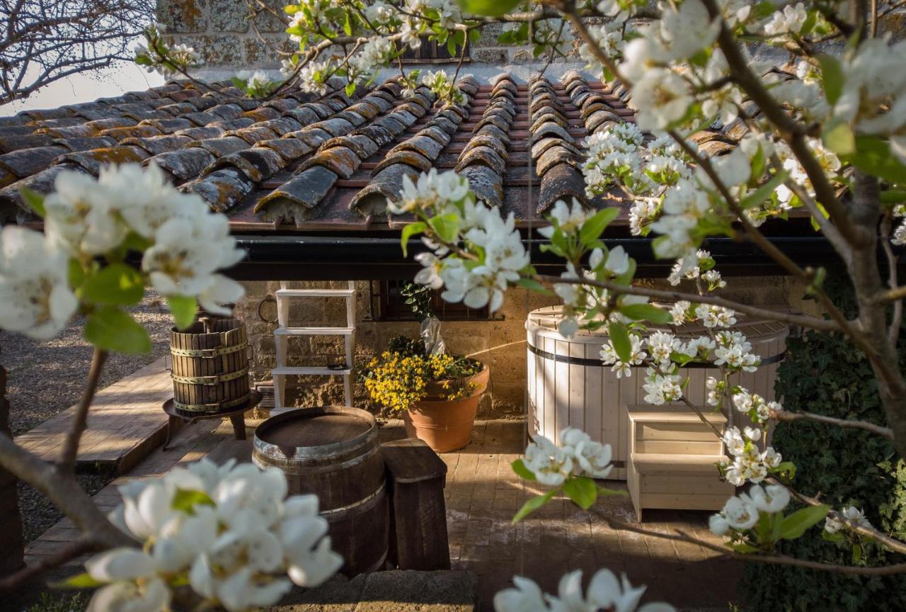 Agriturismo Biologico Sant'Egle San Quirico  Eksteriør bilde